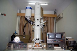 復(fù)旦大學物理系應(yīng)用表面物理國家重點實驗室